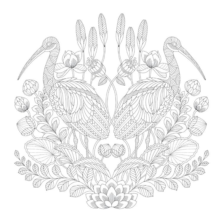 Tropical Wonderland - ilustrace ptáci